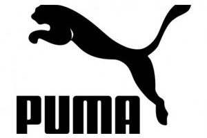 puma-300x225